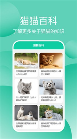 猫猫交流软件app下载