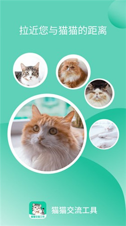 猫猫交流软件app下载