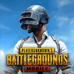 和平精英 国际服v1.14.0
