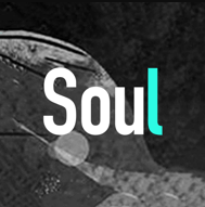 soul v4.56.0最新版