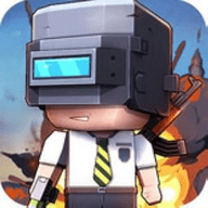 求生大作战 v1.0.1 安卓版