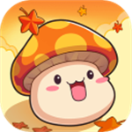 冒险岛联盟的意志 正版v1.0.14