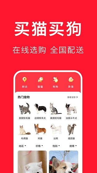 宠物宝手机版免费下载_宠物宝安卓版2024下载安装v3.3.2 运行截图1