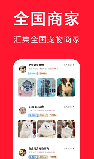 宠物宝手机版免费下载_宠物宝安卓版2024下载安装v3.3.2 运行截图3