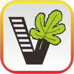 我要自学网 v1.10.9