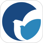 MedPeerv3.6.250227