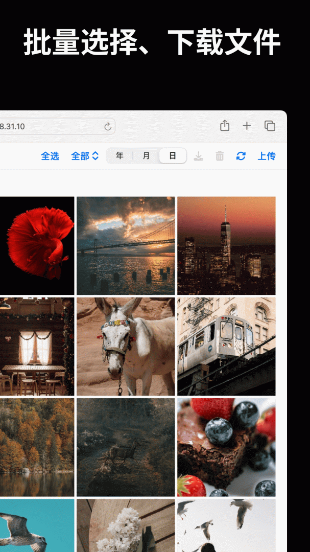 文件闪传APP免费下载_文件闪传v6.1.2APP安卓最新版下载 运行截图2