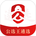 公选王 v4.6.6