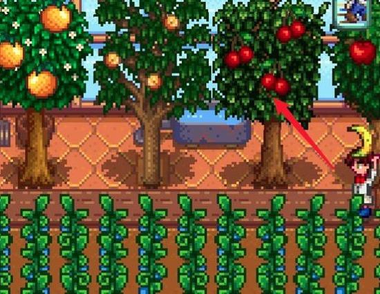 制作果酱所需材料