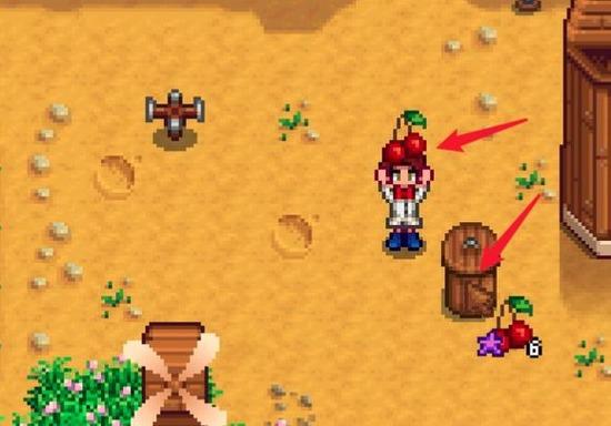 水果放入罐头瓶