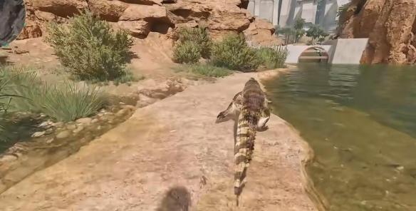 三角洲行动鳄鱼位置