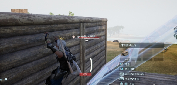 帕鲁家园木制屋顶安装