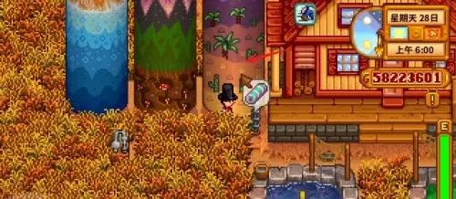 星露谷物语沙漠场景