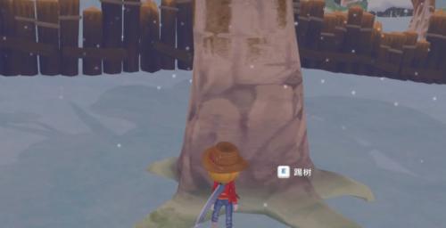 波西亚时光水果沙拉制作教程