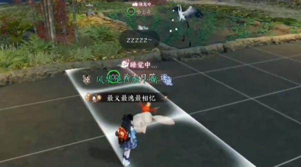 宠物夜间休息提示