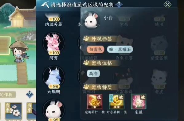 宠物分工优化方案