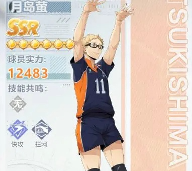 排球少年新的征程角色推荐