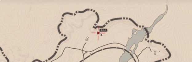 美洲狮捕捉技巧