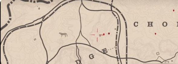 美洲狮分布热点