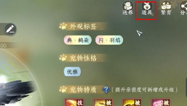 宠物成长与技能提升