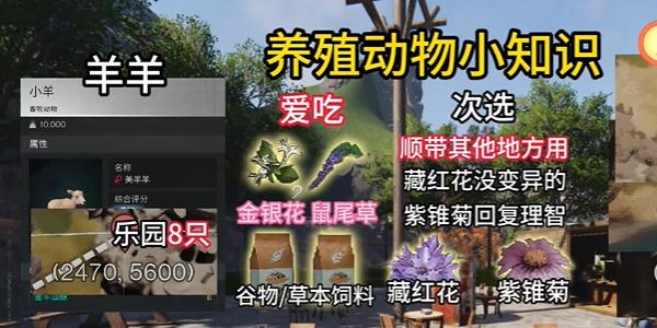 七日世界养殖动物推荐