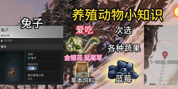 七日世界养殖动物推荐