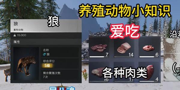 七日世界养殖动物推荐