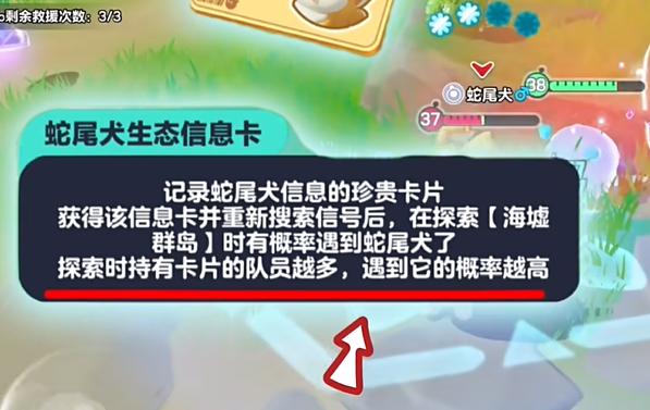 提升捕捉概率技巧