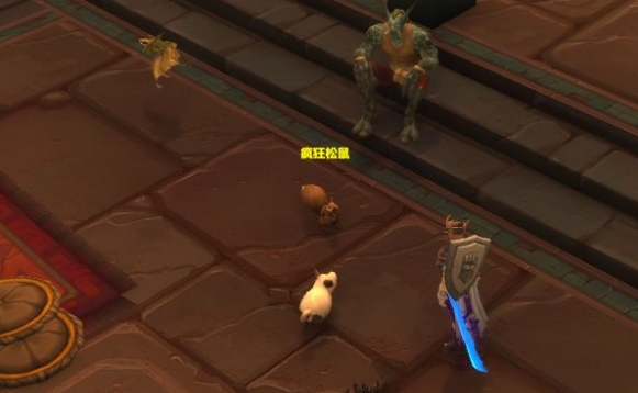 魔兽世界疯狂松鼠NPC位置