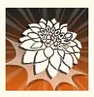 新月同行荔倾技能详解