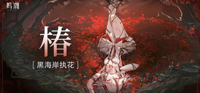 鸣潮椿输出手法