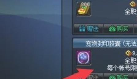 宠物封印过程演示