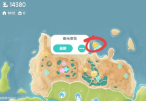 心动小镇幽光章鱼位置