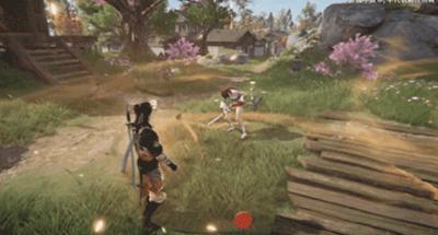 胡为与岳山连携奥义