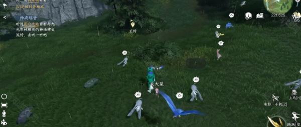 仙居原七彩异色耳朵福宝宝