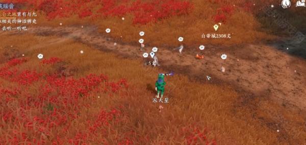 昆仑虚七彩异色耳朵福宝宝