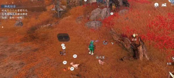 昆仑虚七彩异色耳朵福宝宝