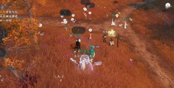 昆仑虚七彩异色耳朵福宝宝