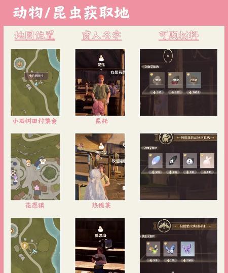 动物昆虫材料获取