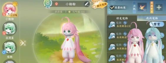 昆仑虚稀有宠物捕捉指南