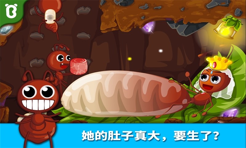 宝宝认蚂蚁图片展示