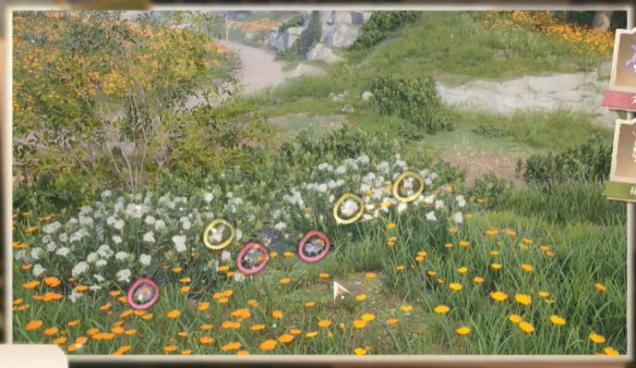 无限暖暖照片调查白日昆虫任务攻略