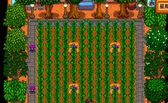 星露谷物语酿酒流玩法指南