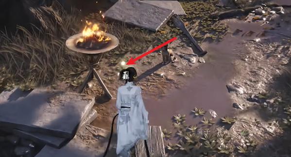 成功捕捉特殊蹊跷