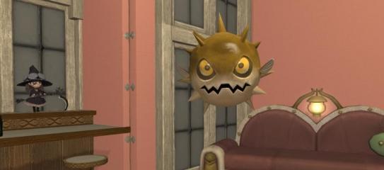 刺球球宠物展示