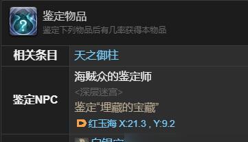 海贼众的鉴定师