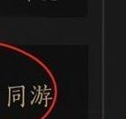 燕云十六声十人侠境操作指南