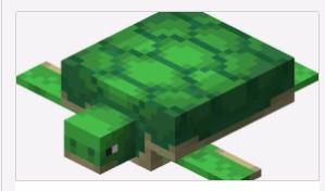 海龟蛋繁殖过程示意图