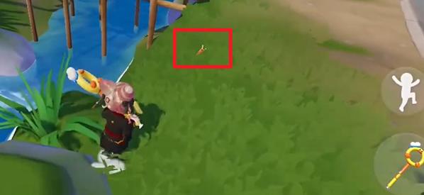 爬行鞭炮虫分布