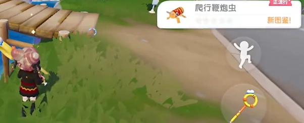 爬行鞭炮虫细节